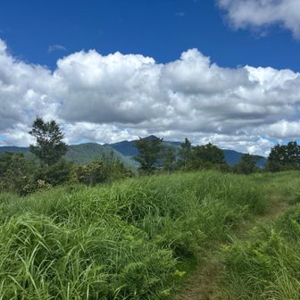 真ん中に見えるのが先ほど登った大川入山。
あんなに遠いところから来たんだね。
