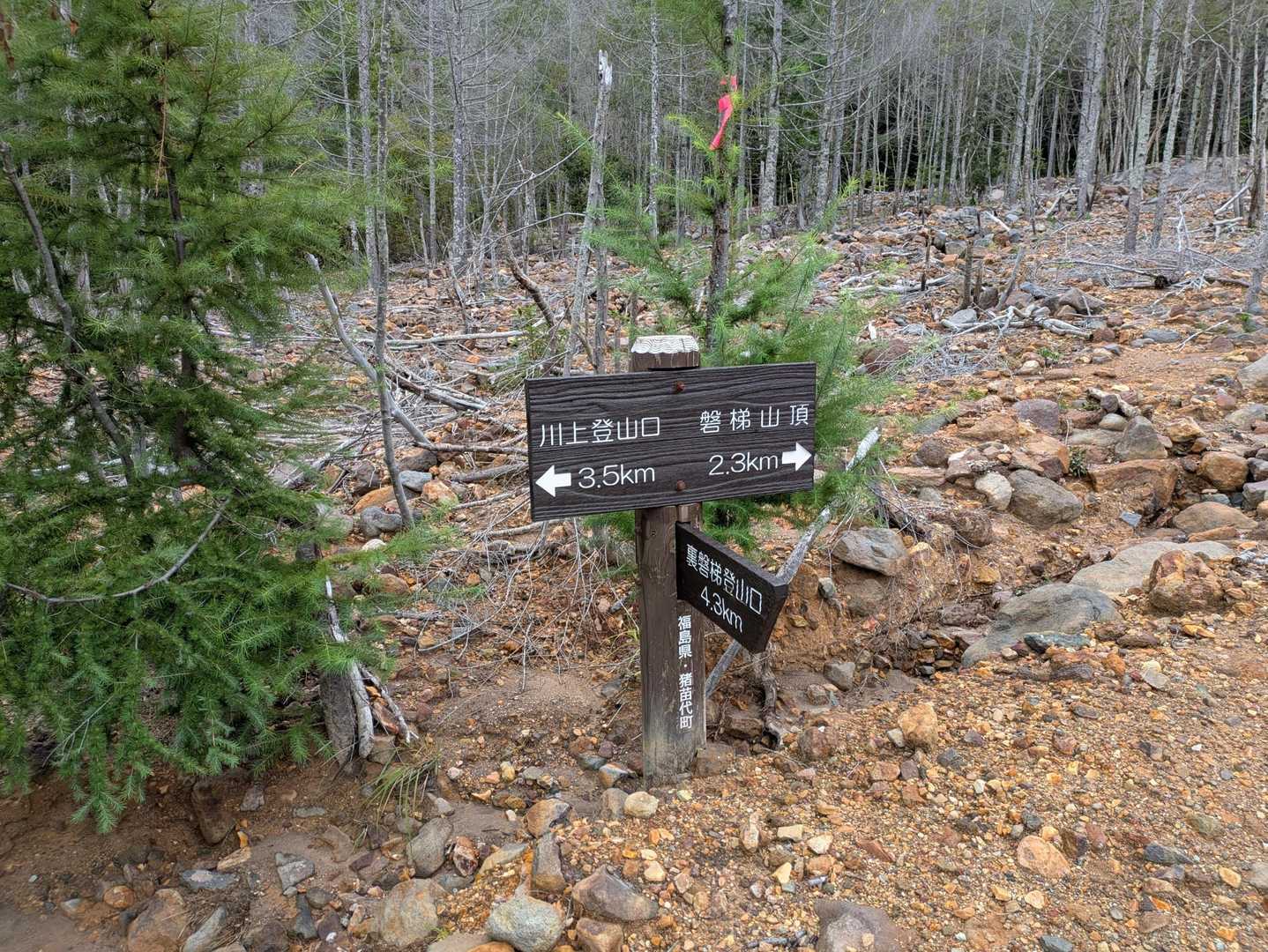 ここから稜線にあがる登山道を目指します