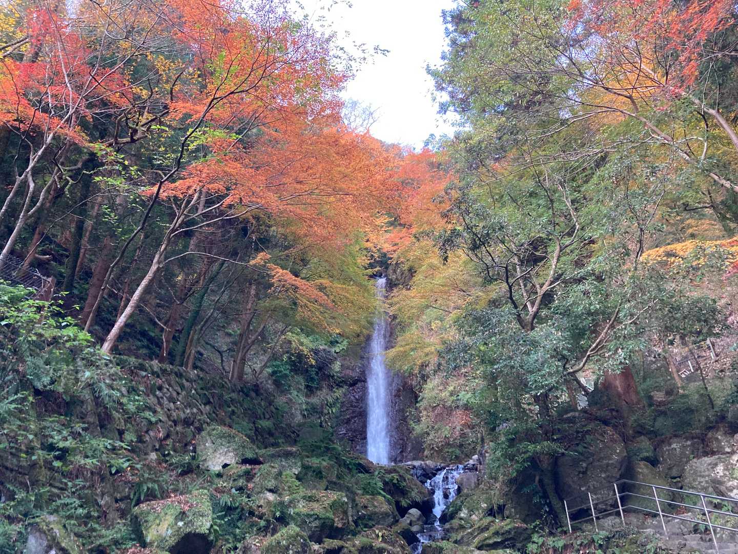 紅葉と養老の滝！