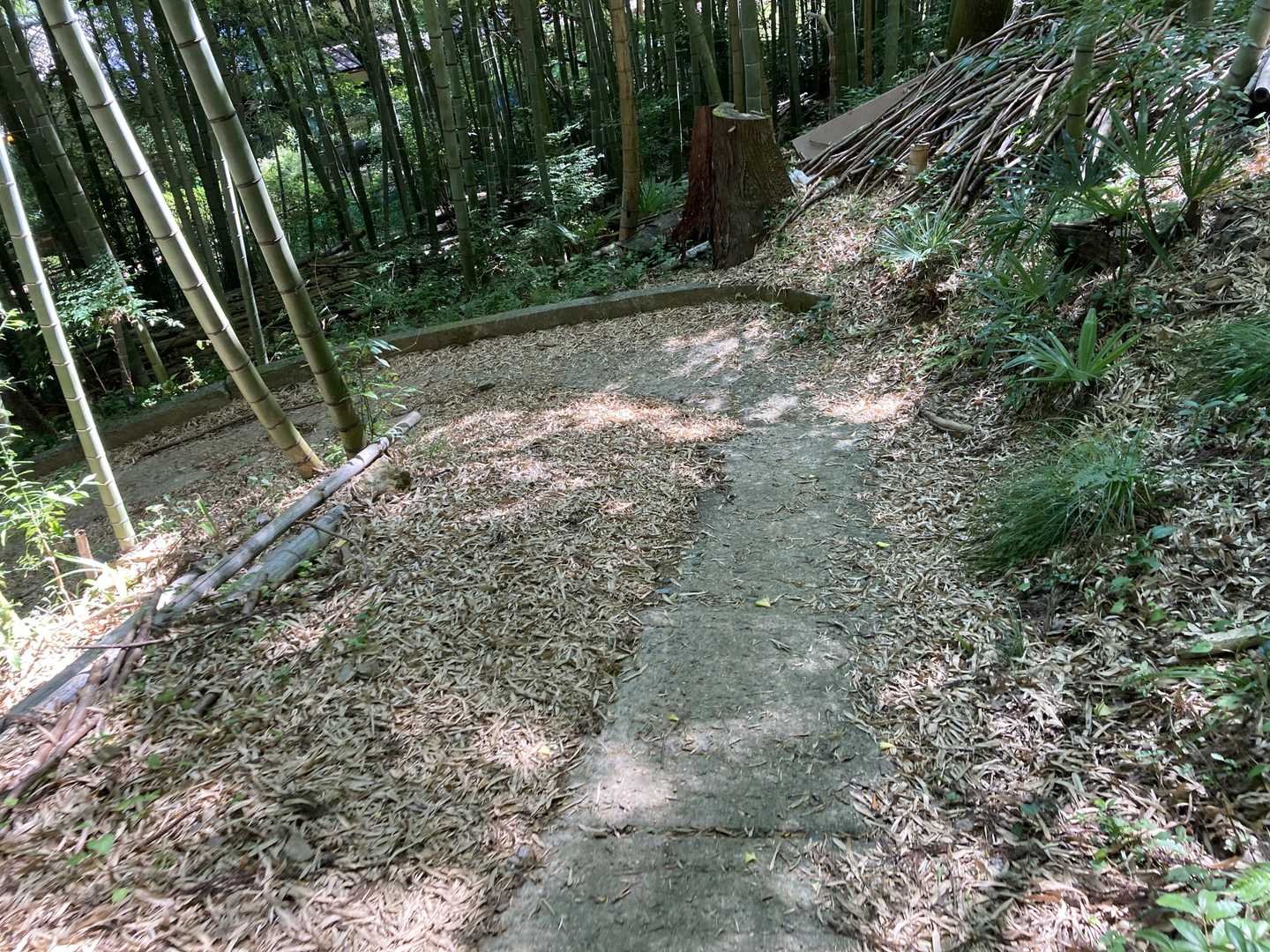 さ、舗装路に出てきました。