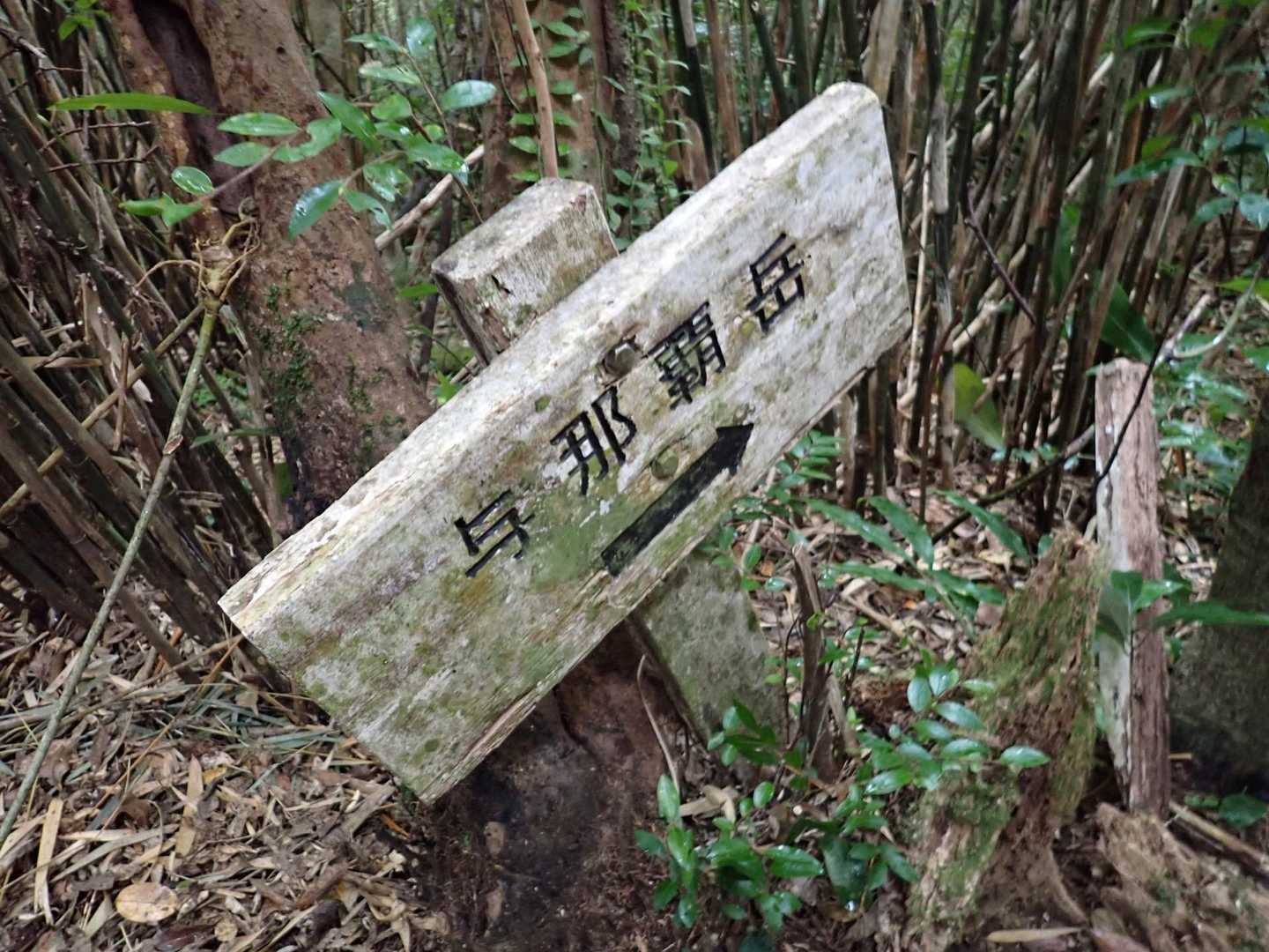 与那覇岳→の標識