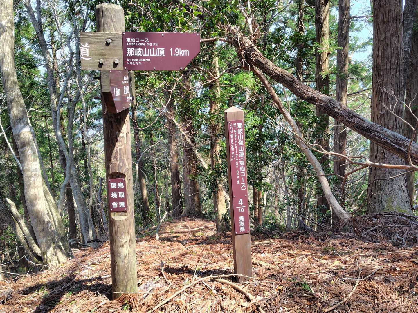 標識はしっかり整備されていました👍
🚨登山口からここまで携帯📱の電波📶が入りませんでした。