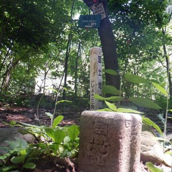 橋立山の三角点
