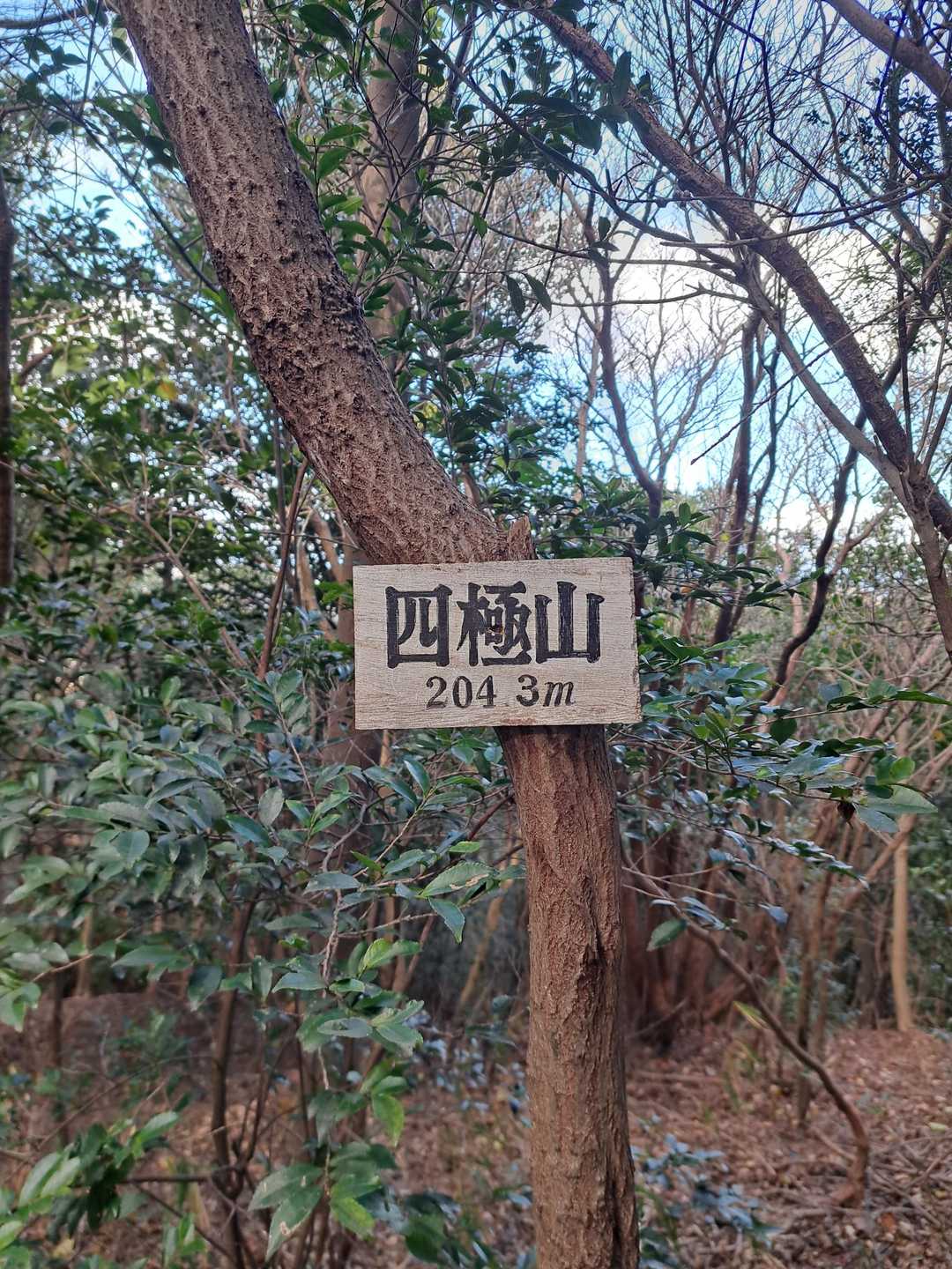 三座目の四極山。この後は下山。