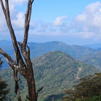 石堂山山頂から少し離れて稜線続きの樋口山を見に行きました