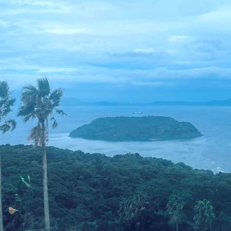 頂上からの知林ケ島。ここ時期によっては干潮になり渡れることもあるとのこと。