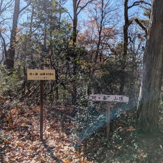 【蛇ヶ岳】山頂
眺望は不芳です…