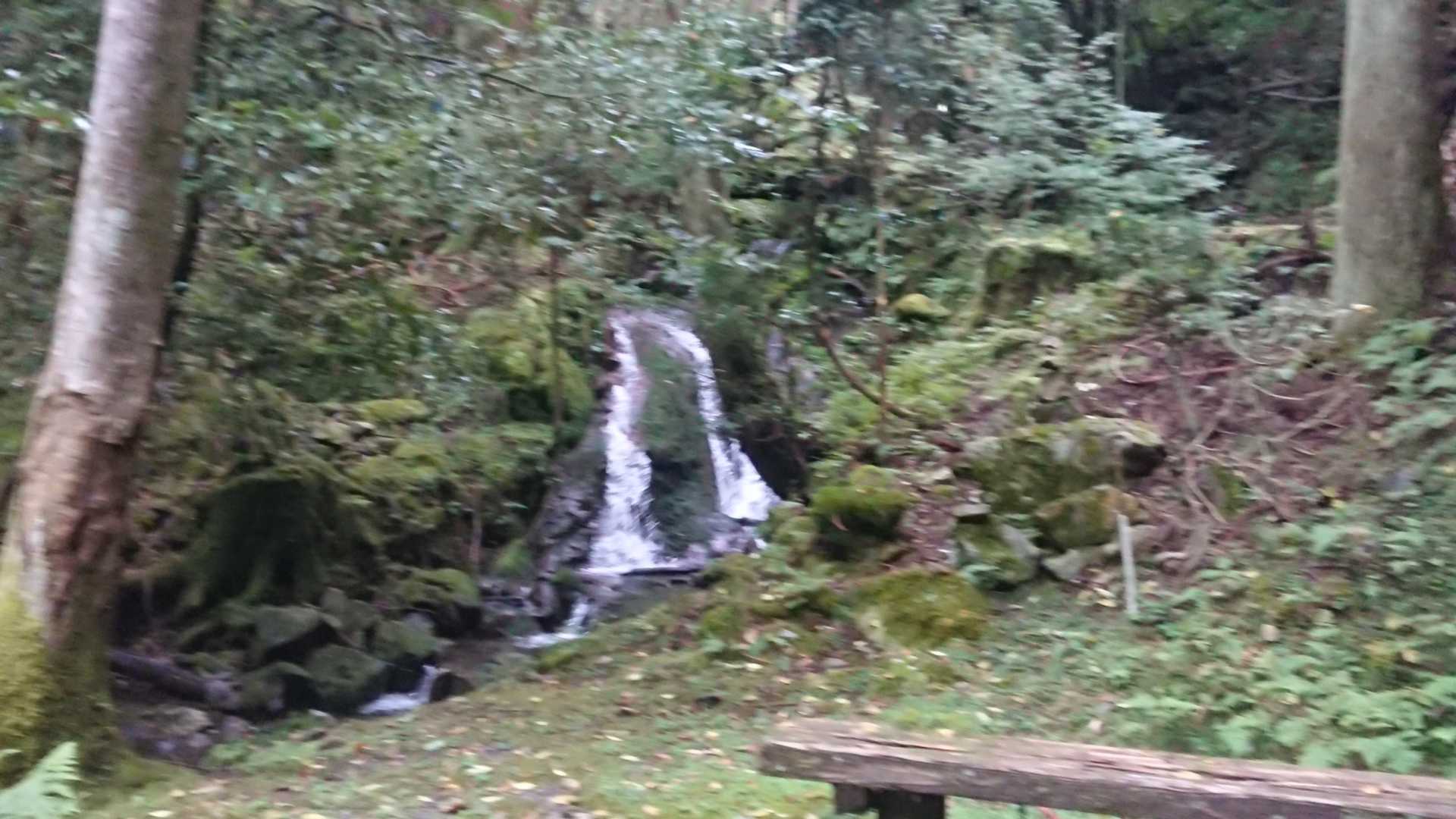 いつもの滝
水多め