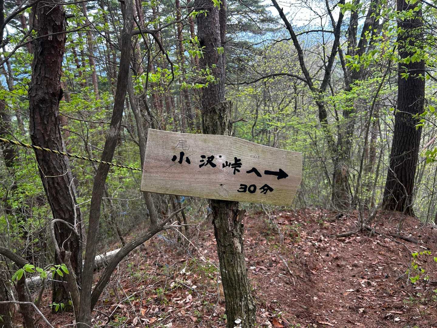 山ノ神自然園-霧訪山登山口-霧訪山 周回コースの写真