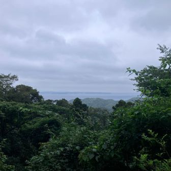 鋸山登山道から車力道を少し行った所からの眺望。