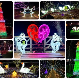 ↘️無事戻って来ました
(山頂に🐗猪?らしい動物が😨ビックリした〜)