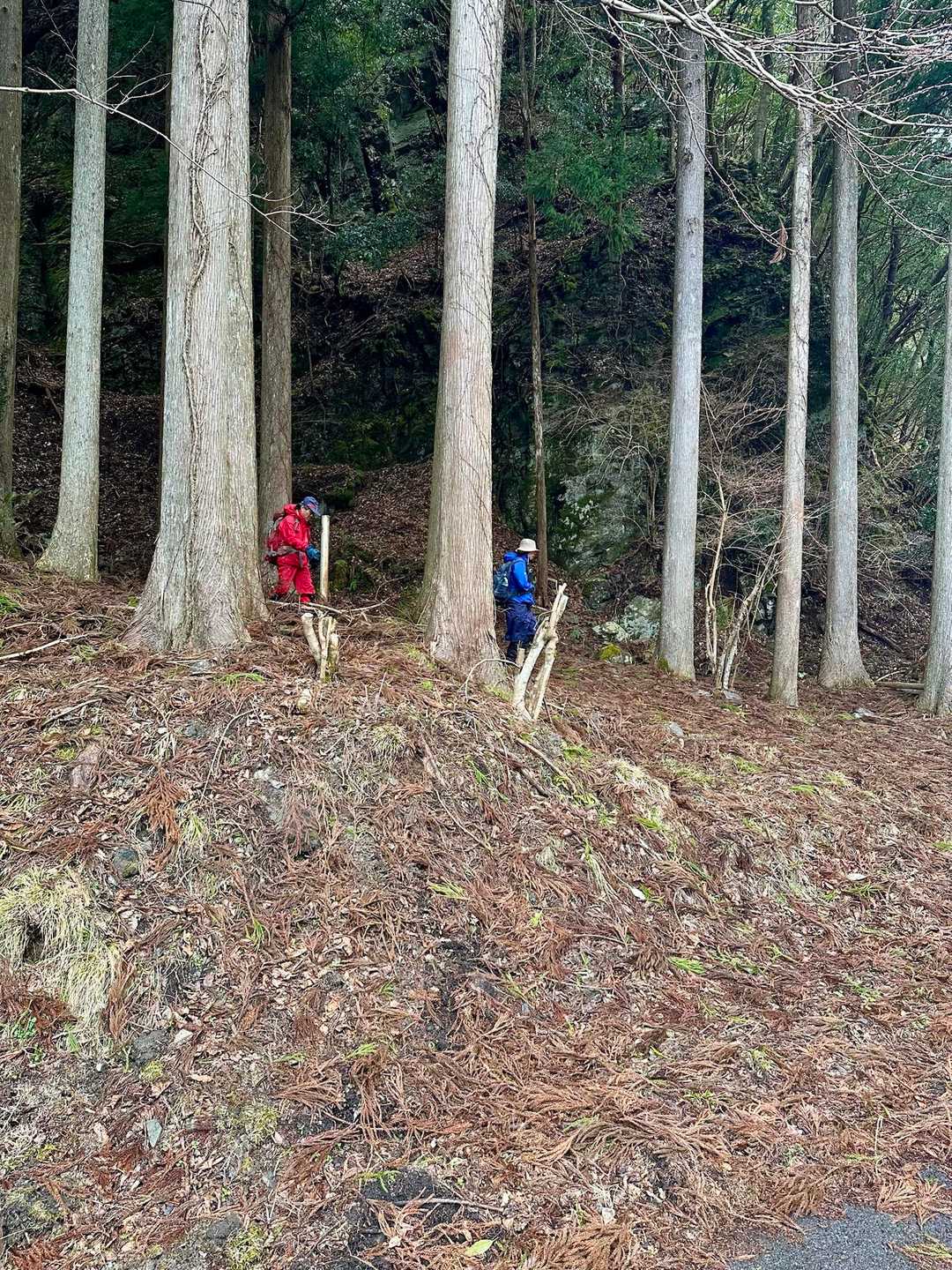 雨止まず
サッサと下山してきました😌
春には花も沢山咲いて綺麗やろうな〜🌸
また来ます😊