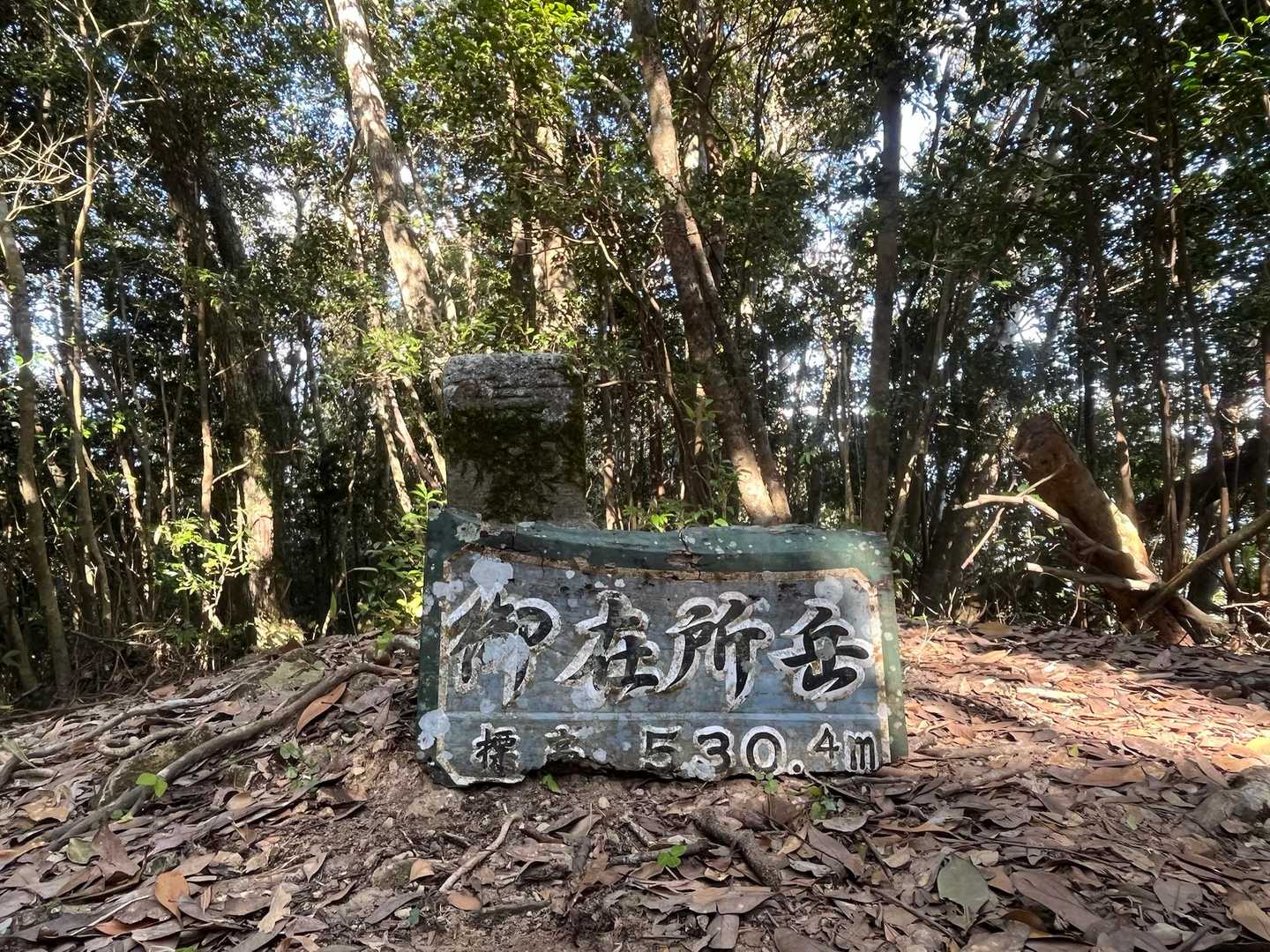 到着～🎵