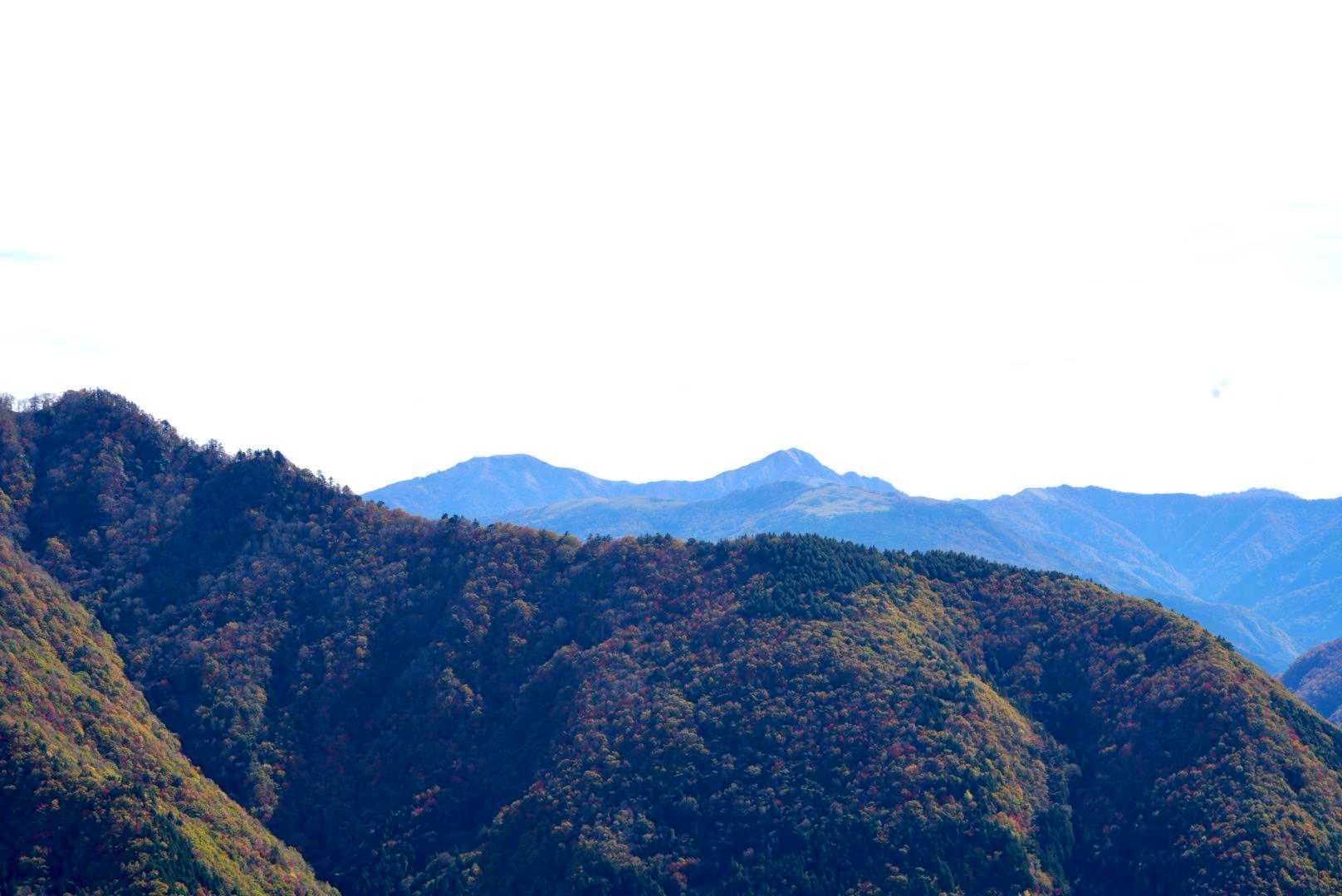 
　　タローとジローも
