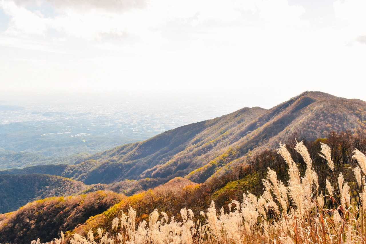 山頂への道を振り返ると最高の景色！