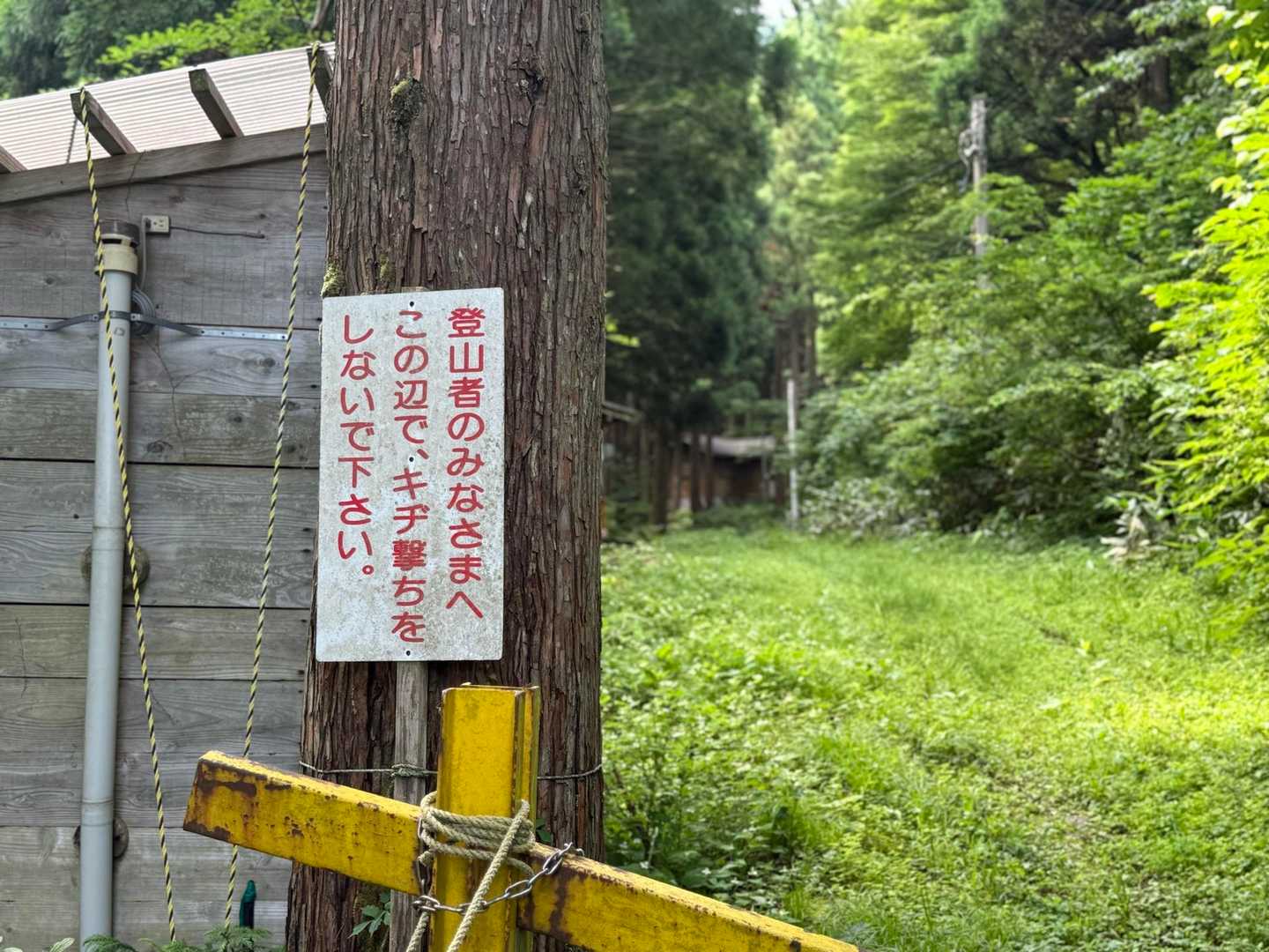 ん？キヂ撃ち禁止…👀