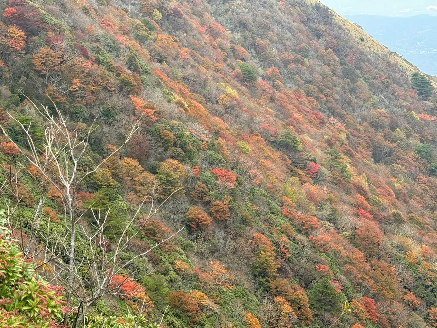 涌蓋山 往復コース（ひぜん湯）の写真