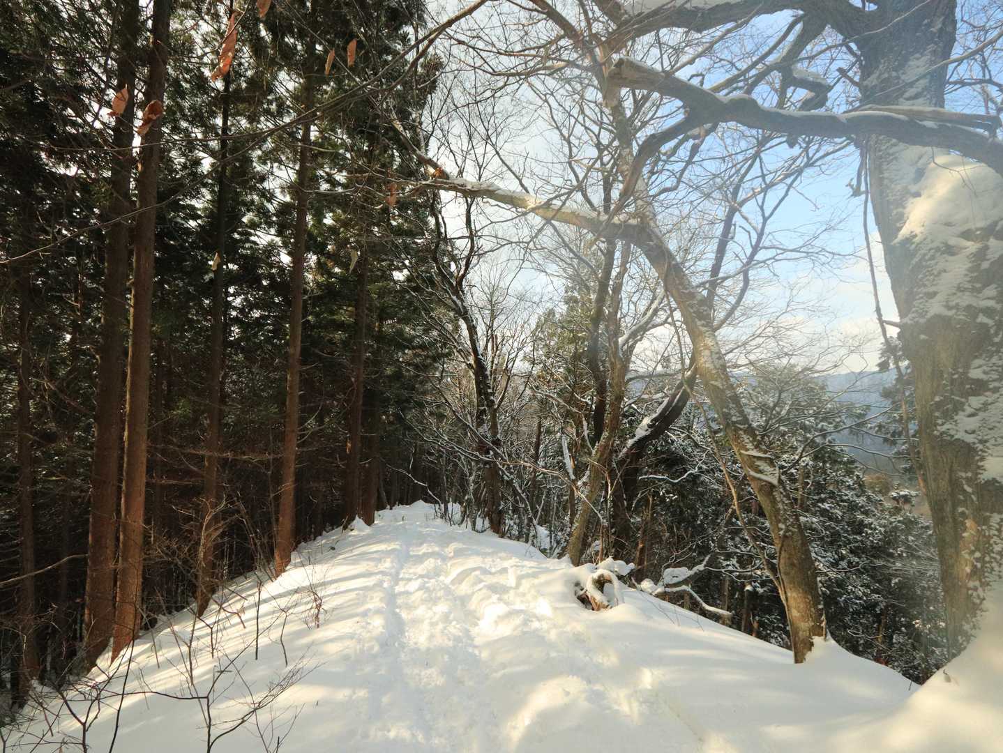 前岳-中岳 往復コースの写真