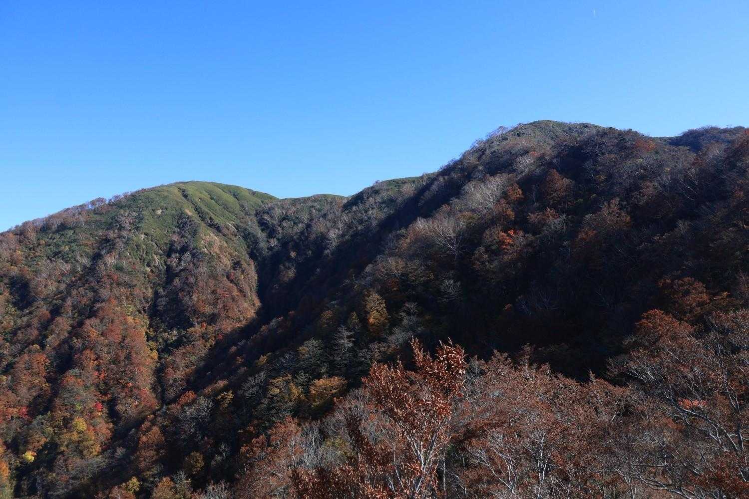 広域林道登山口-保月山-釈氏ヶ岳-中岳 往復コースの写真