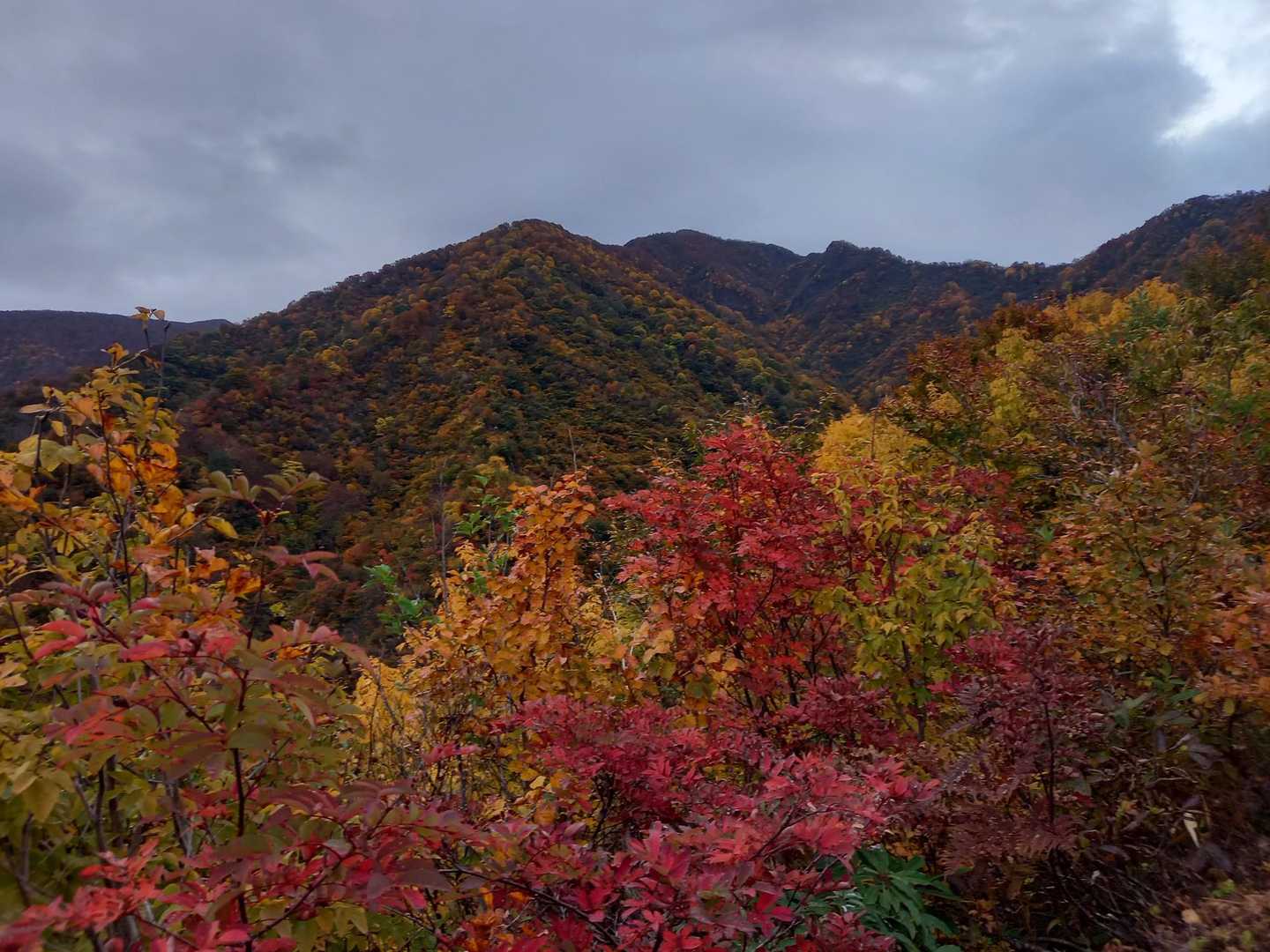 粟ヶ岳登山口-粟ヶ岳 往復コースの写真