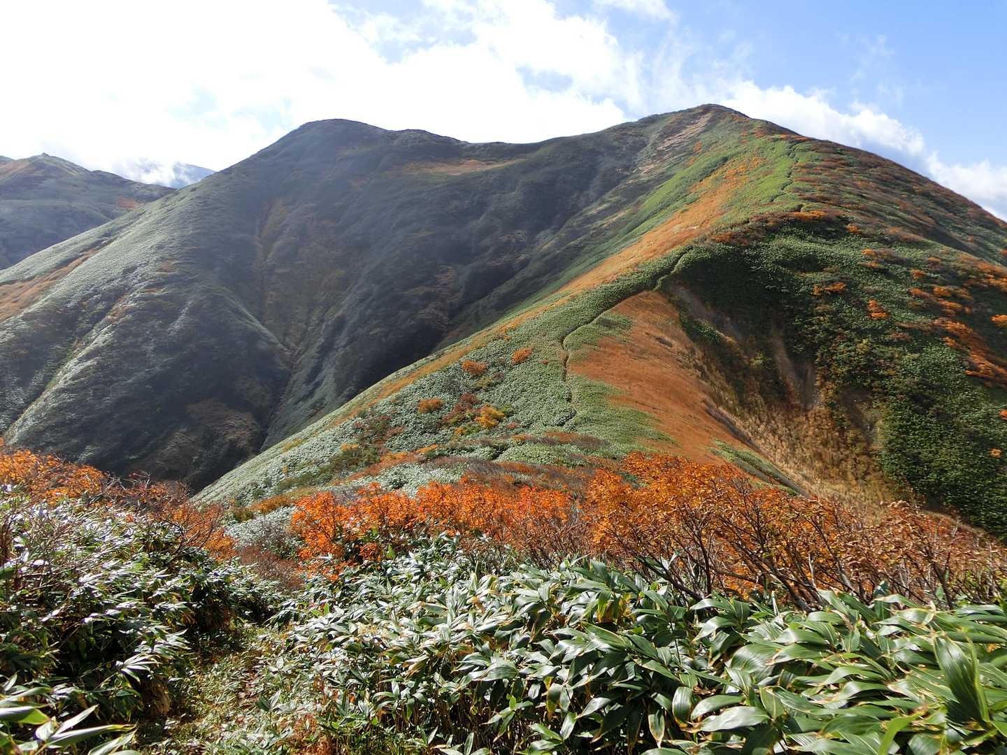 大石山振り返り