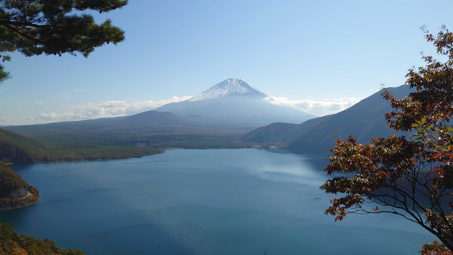 中ノ倉峠登山口-中ノ倉峠-パノラマ台 往復コースの写真