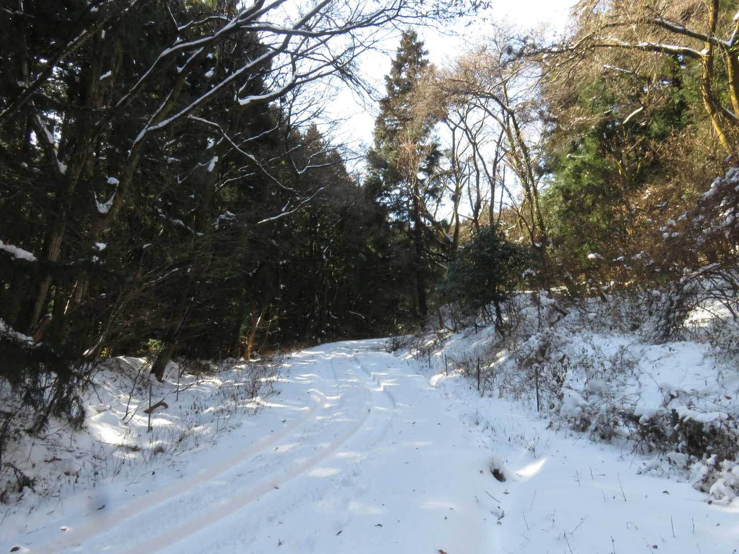 林道に合流。こんな時に車で走る人も居るんですね。これが動画投稿されると事故った時に炎上するのかなw
