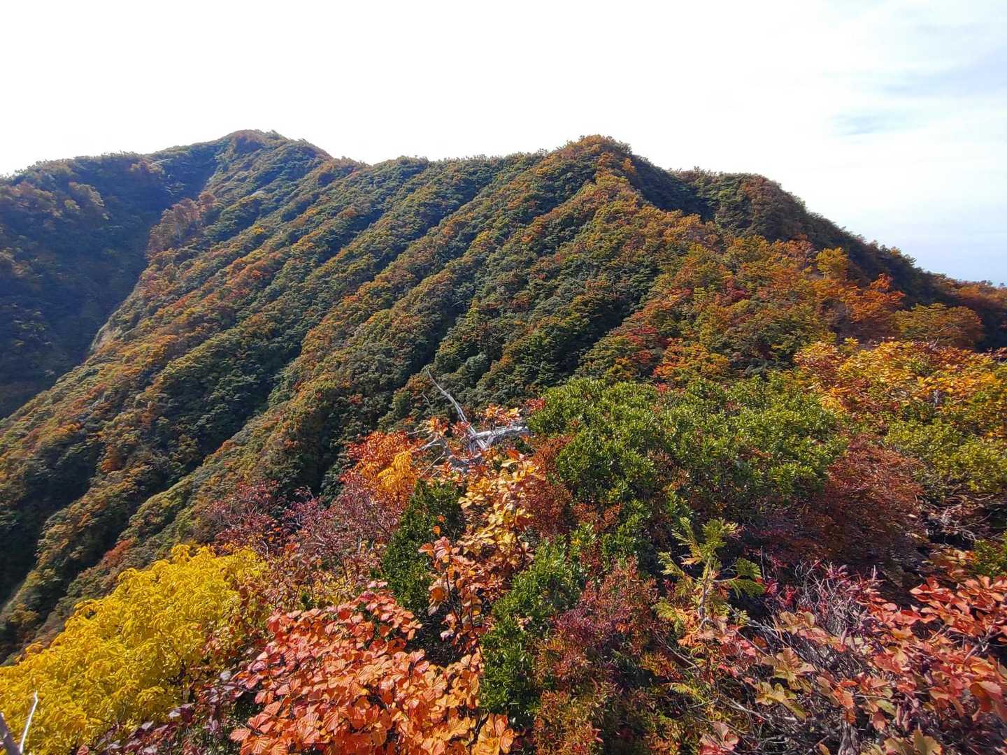 トッケ峰と鉾ヶ岳