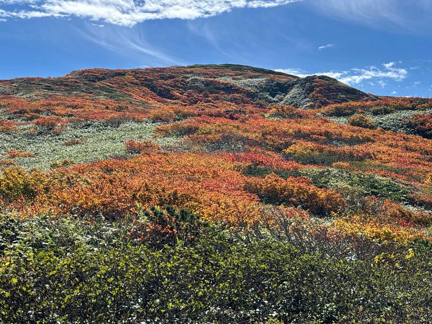 湯森山-笊森山-烏帽子岳 縦走コースの写真