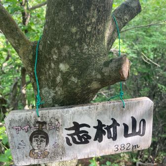 人気？の志村山さん　
