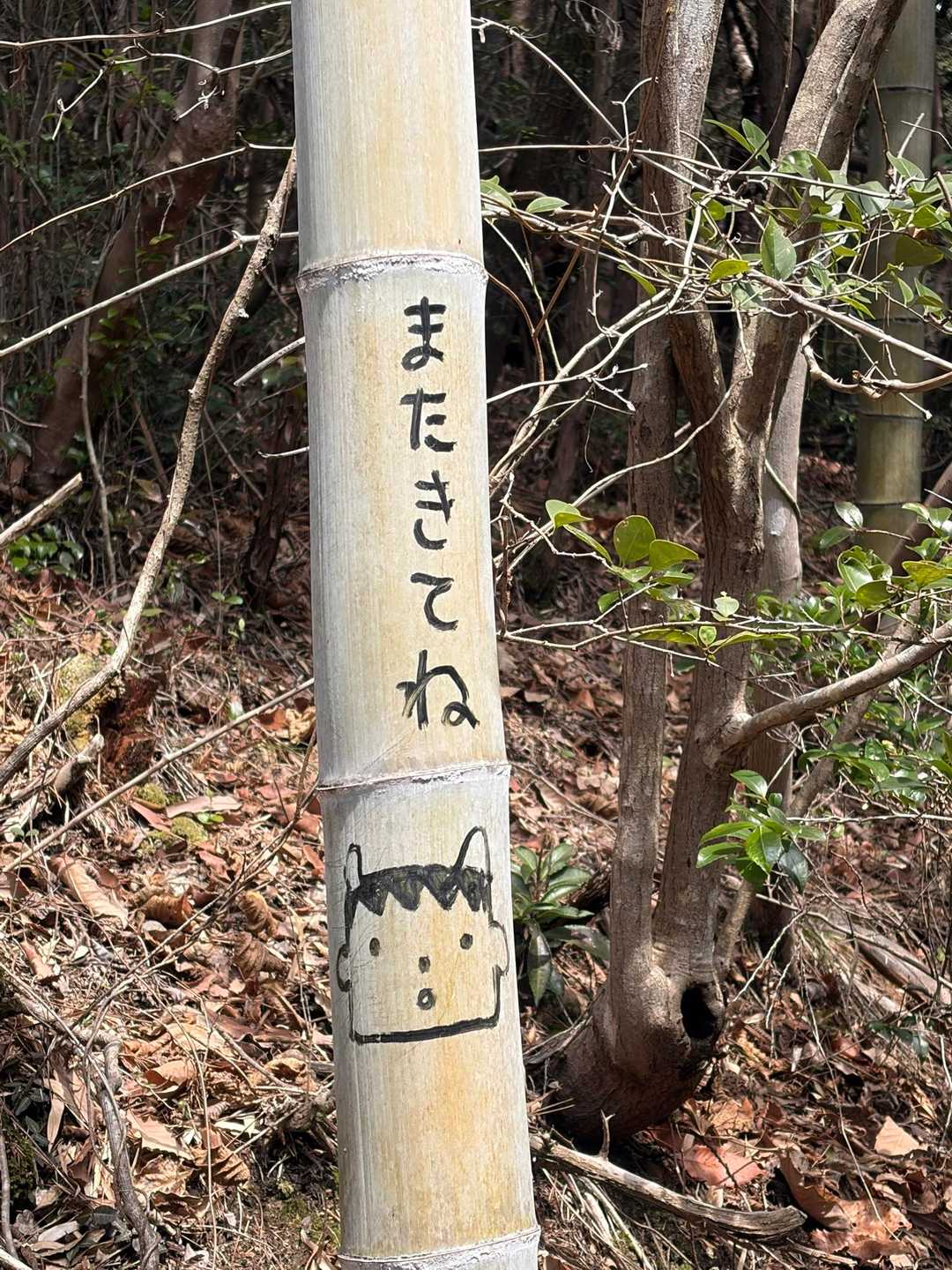 末登山口 -山神大明神-鬼ヶ臼山-鬼ヶ臼南登山口-八ッ山北 周回コースの写真