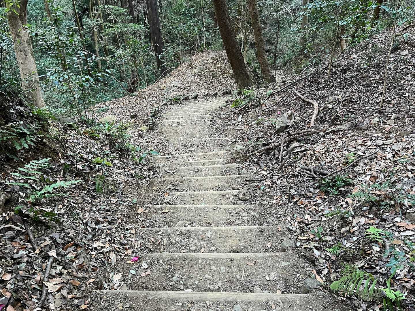 桜峠から清水寺に向かいます

コースがホウキではいたようにキレイになってました