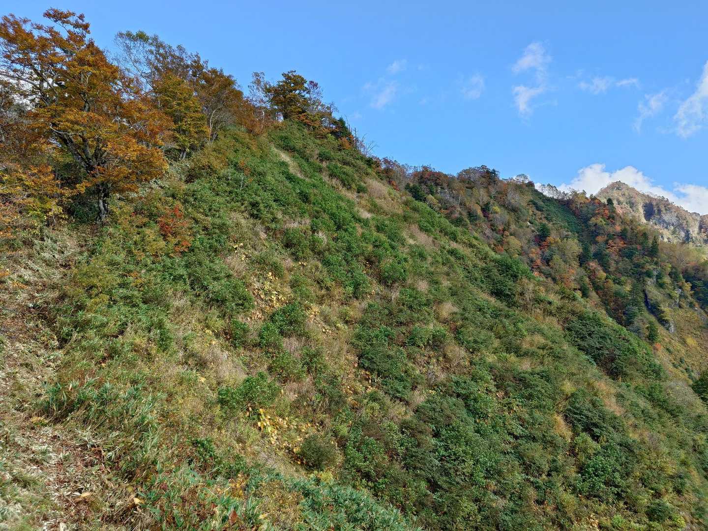 西岳～八方睨の間の最低鞍部。
ここから登り返しが始まる。