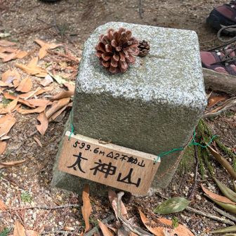 太神山山頂。
小学生のグループがかわいい松ぼっくりを並べてくれました😆