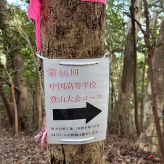 この標識があちこちにありました。