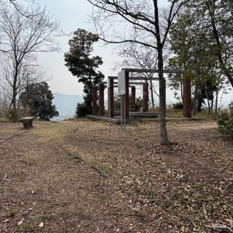 山頂はこんな感じ