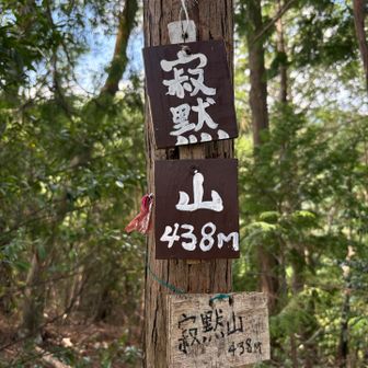 寂黙山⛰️438m
ここからピストンの予定でしたが、ここでもさらに降るので、編笠山に戻るのをやめて周回することにしました。