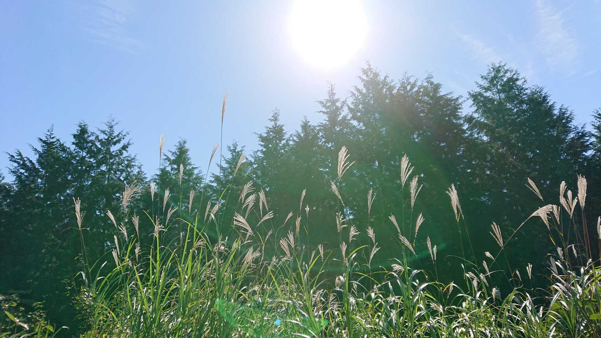 おはようございます。
あ～いい天気☀️