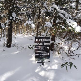 雪が少ないから看板もしっかり見える