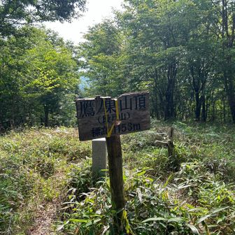 次のピークにもかっこ書きではあるけど段戸山、・・・？