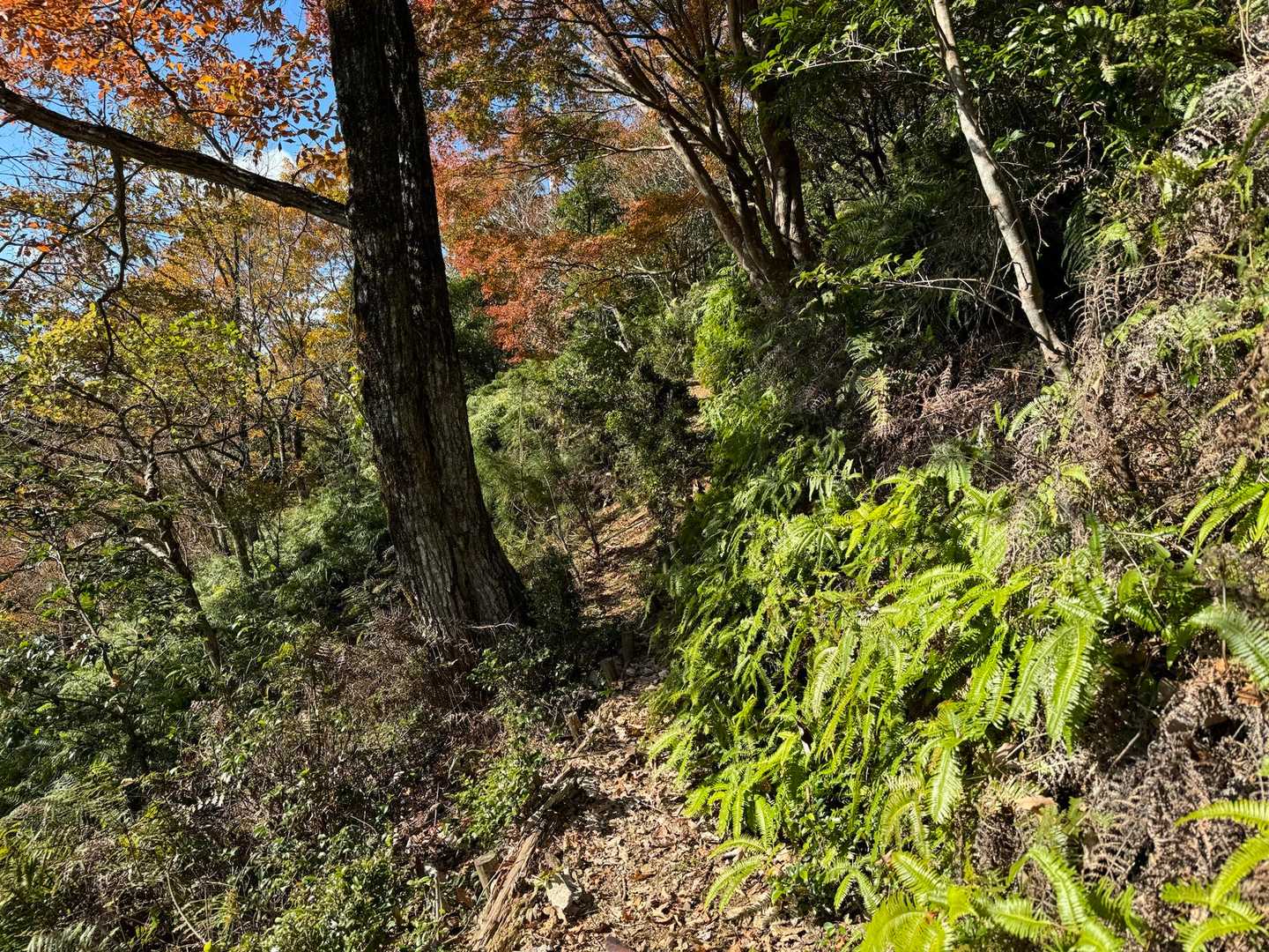 雰囲気が全く違います😀