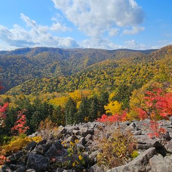他の人と、「山頂どうでもいいよねぇ」なんて話しながら見入ってました。