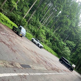 もう3台しかおらんだわ。
