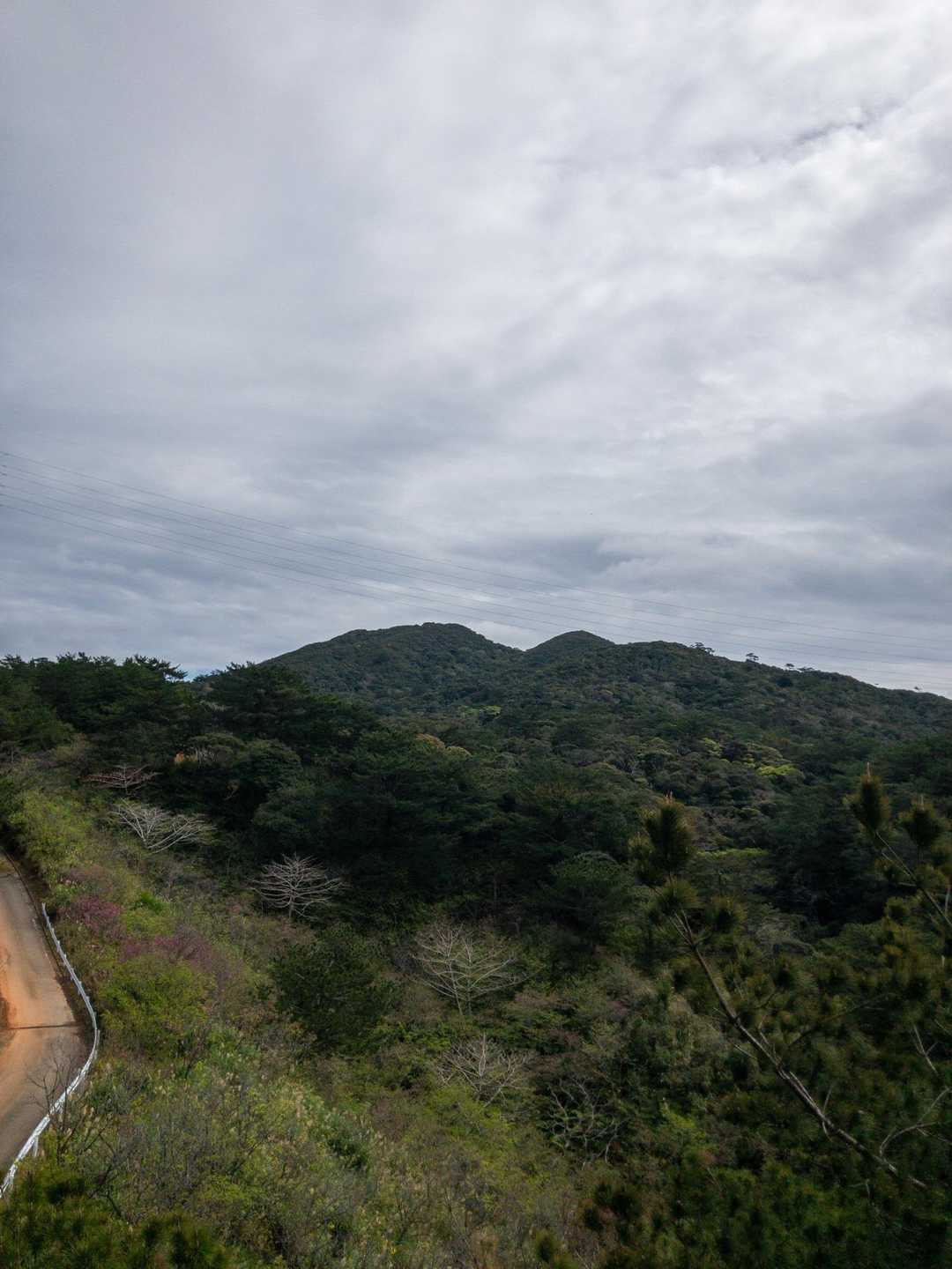 左のピークが名護岳山頂👀