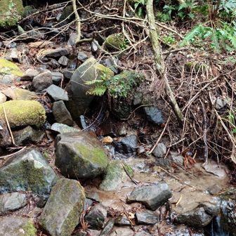 ちょっとだけ増水！