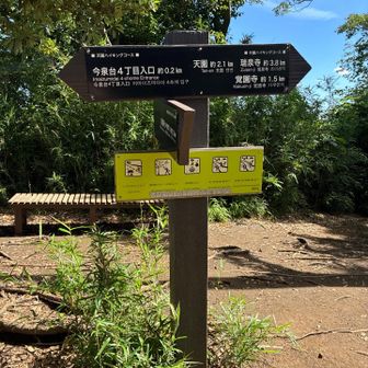 建長寺からと思いましたが、拝観時間の都合で明月院の脇道から。
明月院さんはアジサイシーズンで長蛇の列作ってました。
山の中はとっても静かでしたー