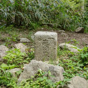 こんなところに一等三角点がありました。三角点は、明治時代に全国の地図作成のために設置したことが始まりで、その後も公共事業に必要な位置の基準として利用されてきました。一等三角点は、全国に973箇所あり、一等三角網で、日本列島の大枠の測量を実施し、近隣の一等三角点から二等、三等三角点の位置を決めていきました。