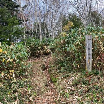 登山口まで戻ってきました
ここからはロードで駐車場まで戻ります