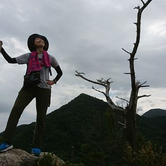 tsubomi235