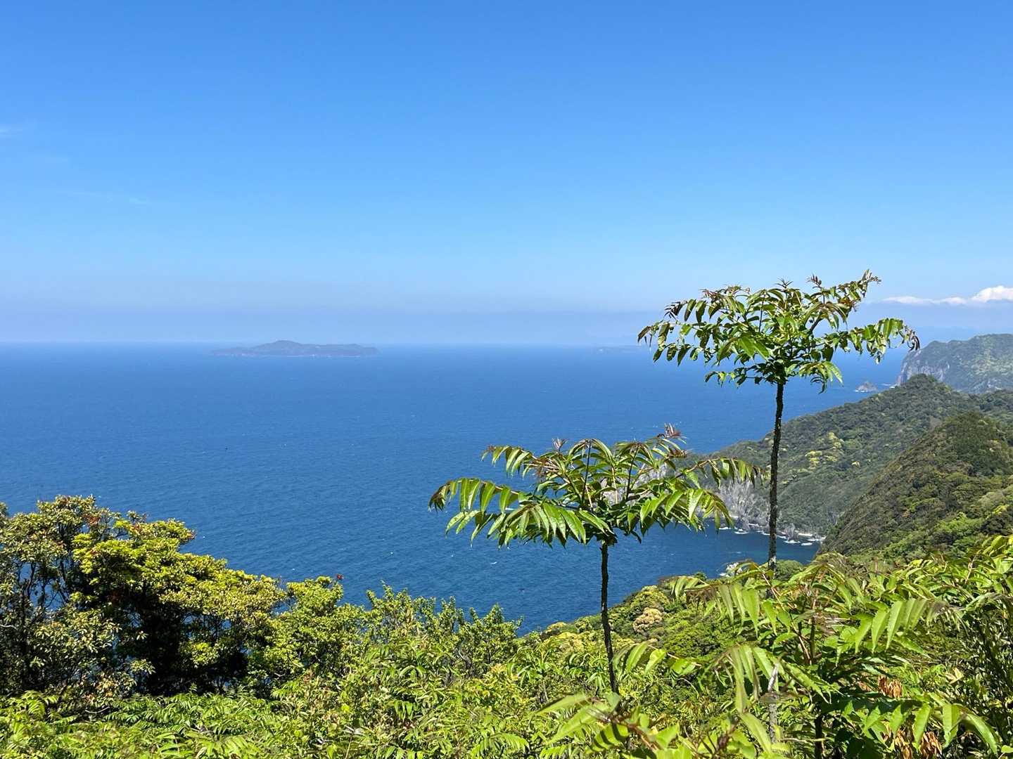 高山 周回コースの写真